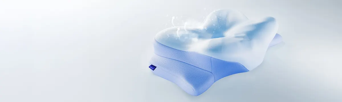 Il cuscino Derila Ergo originale su sfondo azzurro