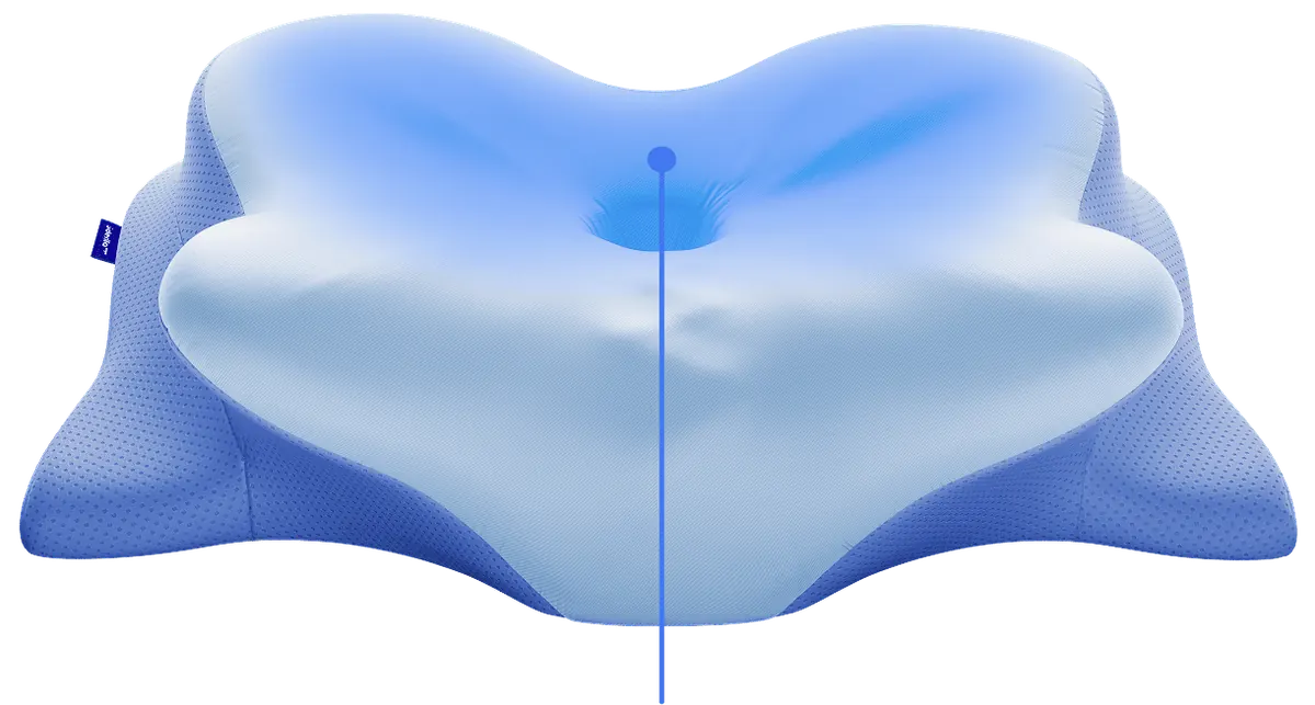 Central hollow of the Derila Ergo pillow where the head rests